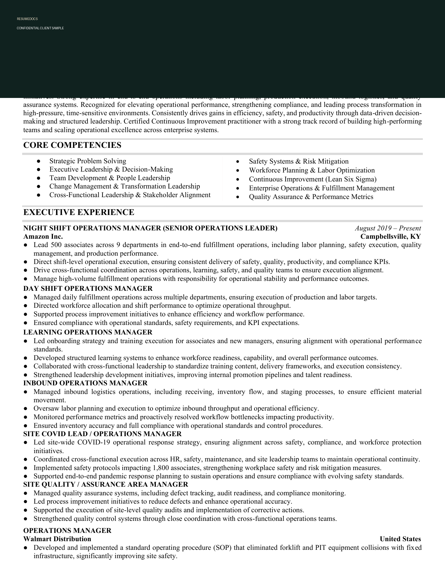 Redacted senior operations resume sample